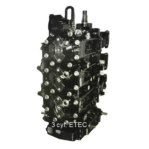 Johnson-Evinrude Outboard 3 cyl. E-TEC Powerhead 75-90 HP 2004-2012