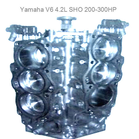 Yamaha Outboard Short Block 4.2L SHO V6 4-Stroke 200-300HP 2010-Up